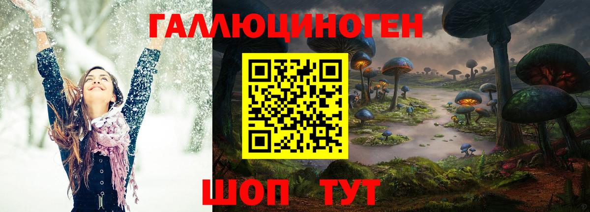 где найти   Вход с VPN  Зима  Галлюциногенные грибы Cubensis 
